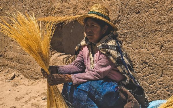 Bolivian woman in traditional dress hold totora reeds in hands